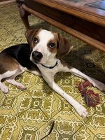 IMG_4431.jpeg