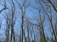 IMG_8988.JPG