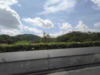 53fa444c-14dd-4d5e-8b81-ebd5d99146d0.jpeg