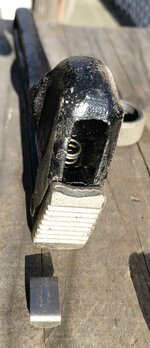 IMG_6784.jpeg