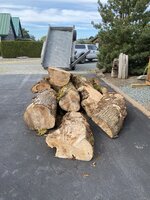 IMG_1052.jpeg