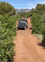 IMG_0398.jpg IMG_0398.jpg
