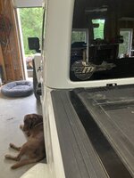 IMG_3652.jpeg IMG_3652.jpeg