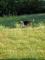 20240702_072647.jpg