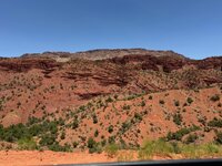 IMG_0104.jpg