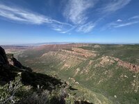 IMG_0117.jpg
