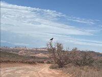 IMG_0404.jpg