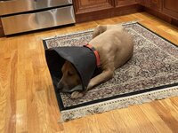 IMG_1332.jpeg