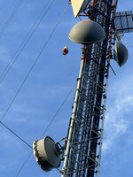 IMG_0553.jpeg