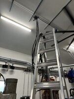 IMG_3701.jpeg