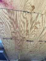 IMG_0798.jpg