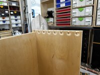 IMG_3751.jpeg