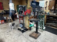 IMG_3381.jpeg IMG_3381.jpeg