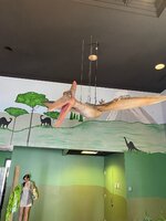 IMG_6139.jpeg