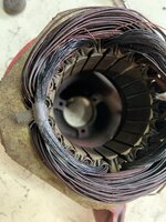 IMG_4988.jpeg IMG_4988.jpeg