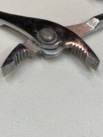 IMG_8512.JPEG