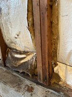 IMG_7536.jpg