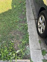 IMG_0426.jpeg