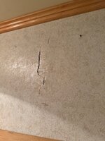 IMG_0468.jpg