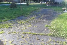 20240711_183040.jpg 20240711_183040.jpg