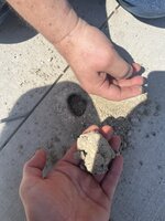IMG_6042.jpeg
