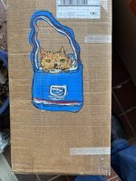 IMG_5117.jpeg