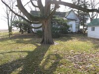 IMG_3330.jpg