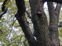 DSCN0115.jpg