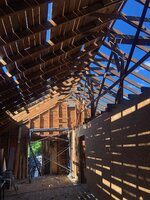 IMG_3498.jpeg IMG_3498.jpeg