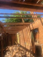 IMG_3515.jpeg IMG_3515.jpeg