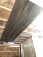 IMG_4799.jpeg IMG_4799.jpeg