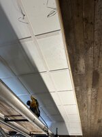 IMG_5065.jpeg IMG_5065.jpeg