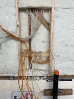 IMG_5113.jpeg IMG_5113.jpeg
