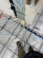 IMG_5734.jpeg IMG_5734.jpeg