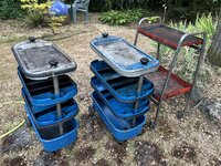 IMG_5906.jpeg