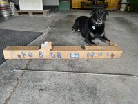 IMG_1301.jpeg