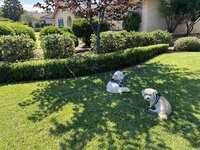 IMG_3683.jpeg