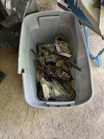 IMG_4575.jpeg IMG_4575.jpeg