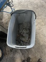 IMG_4577.jpeg IMG_4577.jpeg