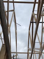IMG_7591.jpeg IMG_7591.jpeg