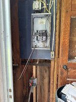 IMG_2923.jpeg