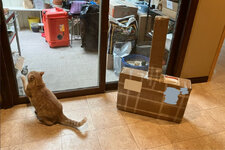 IMG_1841.jpeg