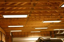 lights-1.jpg