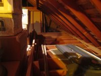 IMG_1537.JPG