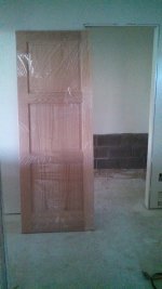 pocket door.jpg