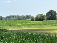 IMG_1681.jpeg