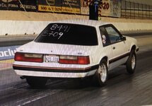 IMG_2336.jpeg