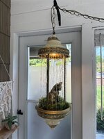 IMG_2645.jpeg