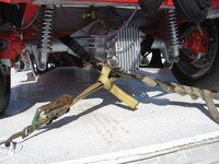IMG_5782.jpg