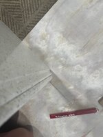 IMG_0572.jpg